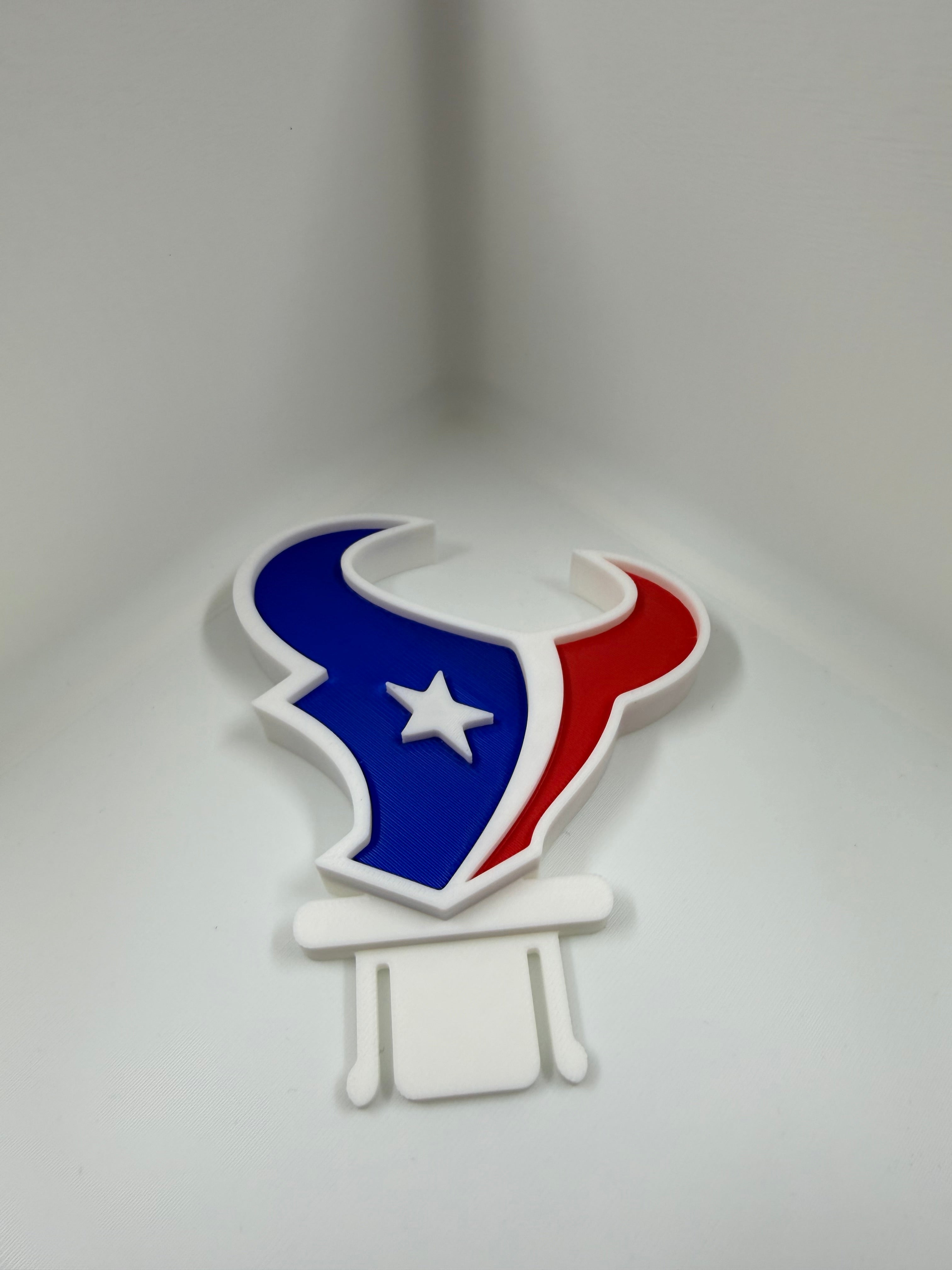 Houston Texans hard hat clip